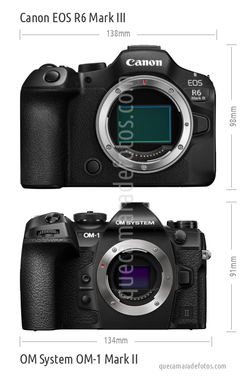 Canon EOS R6 Mark III vs OM System OM-1 Mark II