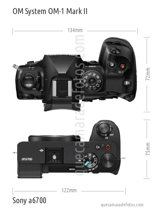 OM System OM-1 Mark II vs Sony a6700