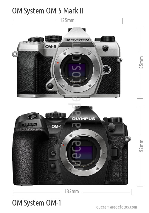 OM System OM-5 Mark II vs OM System OM-1