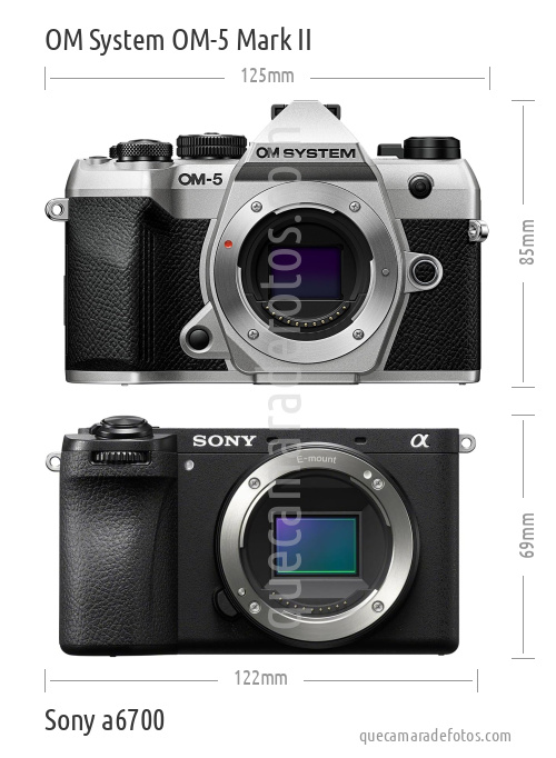 OM System OM-5 Mark II vs Sony a6700