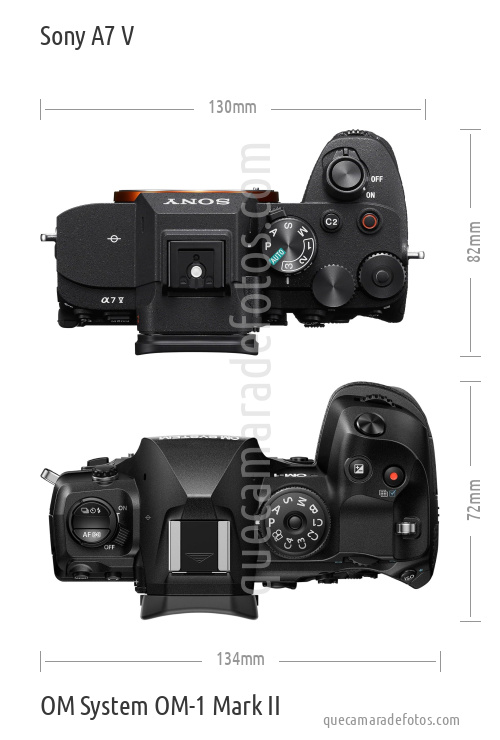 Sony A7 V vs OM System OM-1 Mark II